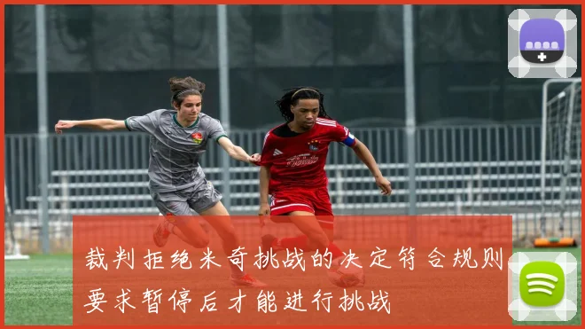 裁判拒绝米奇挑战的决定符合规则要求暂停后才能进行挑战