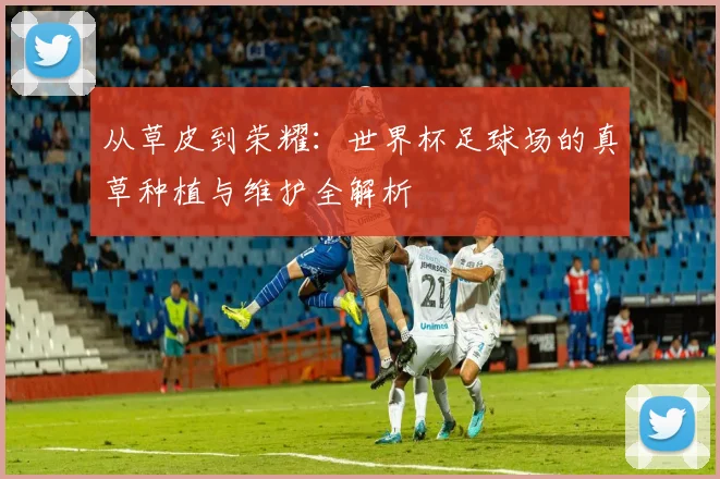 从草皮到荣耀：世界杯足球场的真草种植与维护全解析